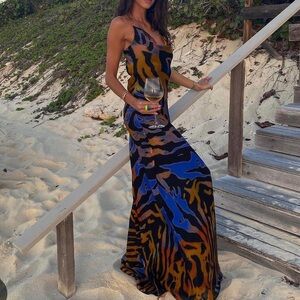 Rat & Boa Fabienne Dress Maxi Colorful Zebra Print Dress